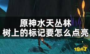 原神水天丛林的解密攻略详解-探索水天丛林中的秘密路径