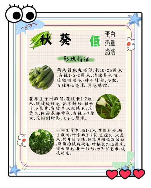 秋葵App免费API高效下载指南：最新版技巧与解决方案