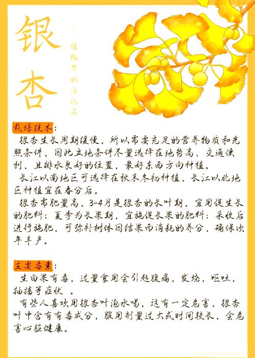 10个银杏视频app下载免费API的秘密技巧：专家推荐必看指南