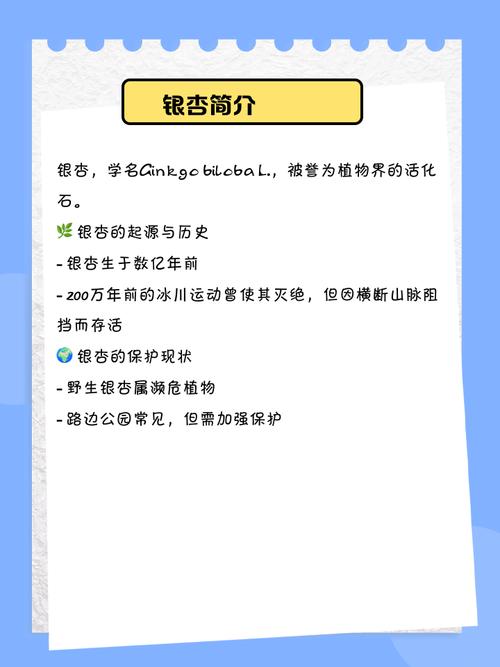 10个银杏视频app下载免费API的秘密技巧：专家推荐必看指南