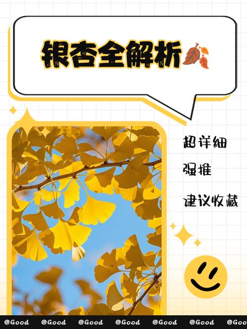 10个银杏视频app下载免费API的秘密技巧：专家推荐必看指南