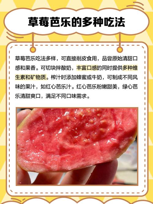 免费获取草莓榴莲芭乐向日葵秋葵榴莲资源链接,助你成为园艺达人 免费获取草莓榴莲芭乐向日葵秋葵榴莲资源链接,助你成为园艺达人