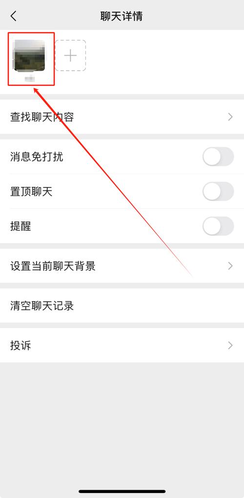 Potato Chat中文版 vs 微信：哪个更安全高效？探索隐私聊天新选择