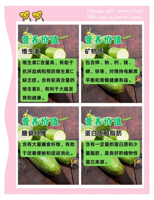 丝瓜草莓向日葵芭乐黄瓜小猪鸭脖种植组合的优势：深度解析家庭菜园高产秘诀