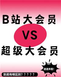 哔哩哔哩大会员如何以更实惠的价格获得——购买哔哩哔哩大会员的省钱技巧

