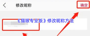 想要在猫眼专业版中修改账户名称？具体操作方法与流程攻略解析

