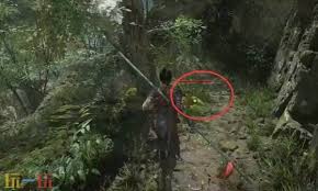 明末渊虚之羽中获取渊虚之羽与竹笋道具的途径有哪些？

