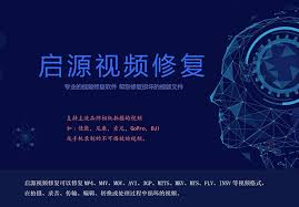 如何修复损坏的视频文件——专业指导与实用技巧视频修复指南