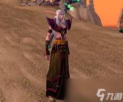 魔兽世界中的暮光信徒长袍主要具备哪些功能？——详细介绍其核心用途