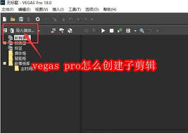 关于在Vegas Pro中如何制作子剪辑——详细操作指南