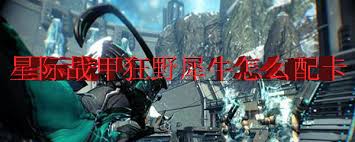 星际战甲中的狂野犀牛角色如何进行最佳配卡策略--详解星际战甲狂野犀牛的配装方法