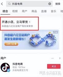 如何入驻抖音超市进行商品销售——在抖音超市开店的详细步骤指南