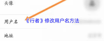 如何更改行者app的名称-具体操作步骤详解