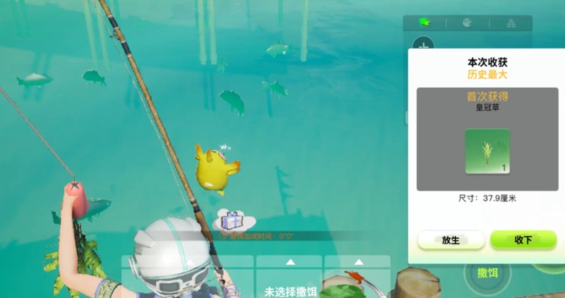 探索一下《创造吧！我们的星球》中钓鱼的趣味经验与技巧