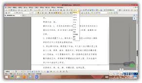 在编辑Word文档时，我们可能会遇到字体虽然调得再大，打印出来仍然偏小的问题，该如何应对？

