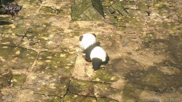 《流放之路2》中国区提前预购倒计时开启，珍稀灵兽熊猫别错过！