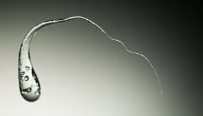 如何在《我的世界》中获得鲁伯特之泪——鲁伯特之泪获取全攻略 如何在《我的世界》中获得鲁伯特之泪——鲁伯特之泪获取全攻略