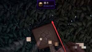 如何在《我的世界》中获得鲁伯特之泪——鲁伯特之泪获取全攻略 如何在《我的世界》中获得鲁伯特之泪——鲁伯特之泪获取全攻略