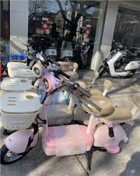 雅迪智行支持哪些车型-有哪些车型可以通过雅迪智行进行管理
