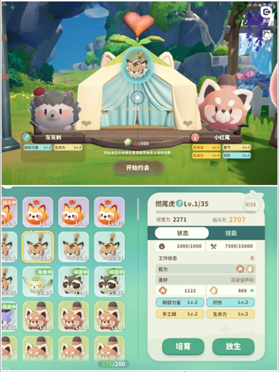 关于《米姆米姆哈》游戏中燃尾虎稀有词条的培养策略