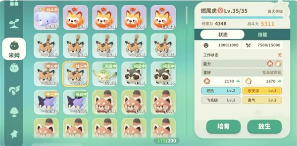 关于《米姆米姆哈》游戏中燃尾虎稀有词条的培养策略