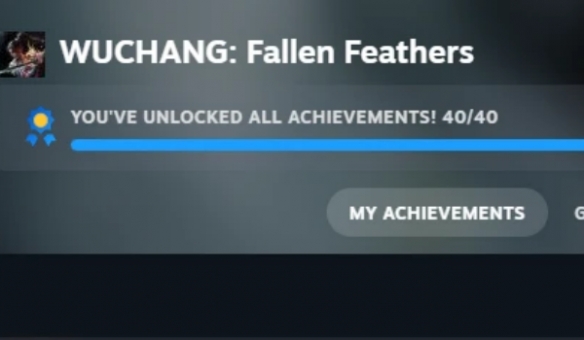 治疗强迫症的终极利器！《渊虚之羽》完美通关存档，囊括全部56个隐藏成就