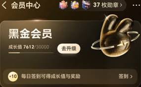 如何成为美团黑金会员——获取美团黑金VIP的详细途径 如何成为美团黑金会员——获取美团黑金VIP的详细途径