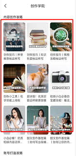 如何顺利进入闲鱼创作学院——闲鱼创作学院的详细入口指南