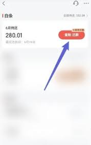 关于在京东金融平台上如何办理借款延期还款的详细流程及操作指南