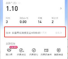 抖音商城如何查询累计消费金额—详解抖音商城总支出查看技巧