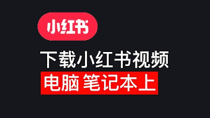 如何在电脑端获取小红书应用——电脑下载小红书的详细指南

