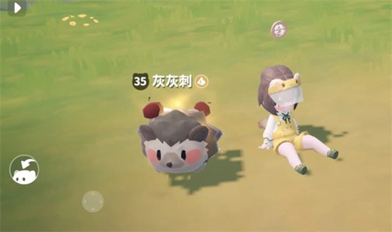 关于《米姆米姆哈》中四种属性词条的捕获策略分析