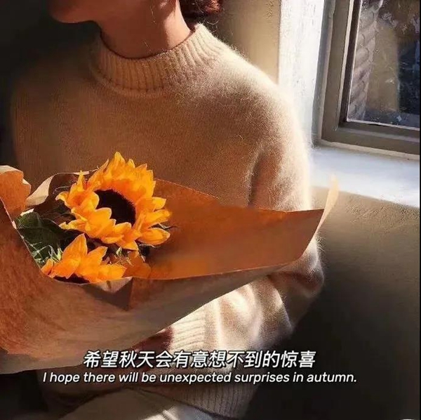 内心充满喜悦与幸运，邂逅美好的人们——图片配文字背景简介

