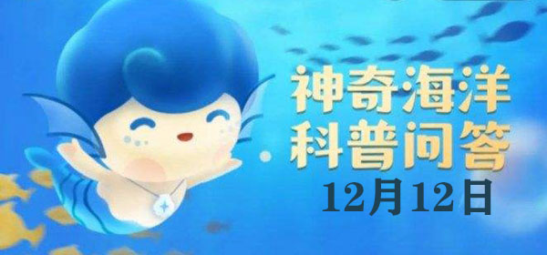 猜一猜：为什么翻车鱼被称为“翻车鱼”？