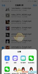 vivo手机浏览器中下载的视频文件如何进行导出处理？- vivo浏览器下载视频的导出方法详解