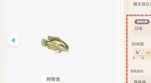 在心动小镇中,刺臀鱼的钓取地点及详细位置介绍
在心动小镇中,刺臀鱼的钓取地点及详细位置介绍