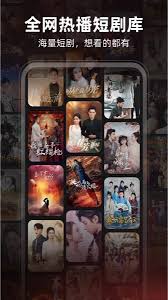 河马剧场的使用方法详解——具体操作指南
河马剧场的使用方法详解——具体操作指南