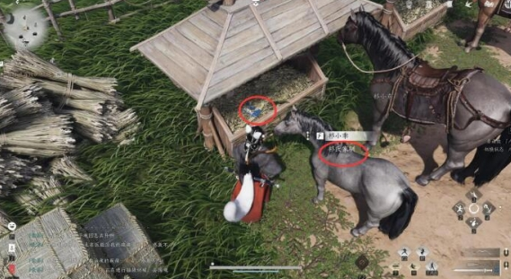 燕云十六声祁氏家驯任务的具体完成流程与攻略介绍

