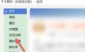千千静听指南：如何调整字体设置以获得理想效果
