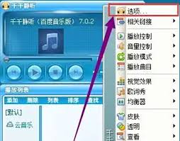 千千静听指南：如何调整字体设置以获得理想效果
