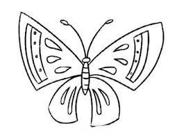 如何在QQ画图红包中绘制一只栩栩如生的蝴蝶——具体步骤详解