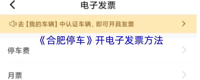 《合肥停车》电子发票申请流程详解
