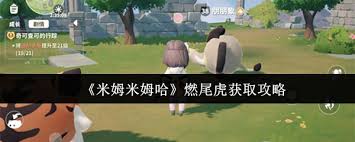 关于如何孵化米姆米姆哈燃尾虎的详细攻略-分享哈燃尾虎孵化的技巧与方法