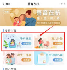 使用浙里办App申请生育津贴的流程详解——浙里办App如何便捷办理生育补贴