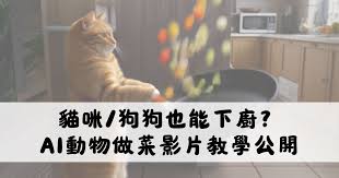 如何利用即梦AI制作宠物猫狗的短视频——具体操作指南