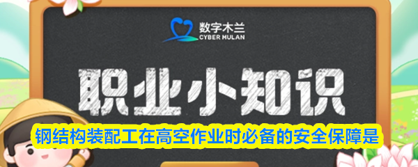 在进行高空作业时，为确保钢结构装配工的安全，必要的防护措施之一是  
