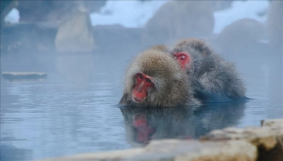 冬季热射病频发需引起高度警惕：过长泡温泉与运动时穿着厚重是主要诱因