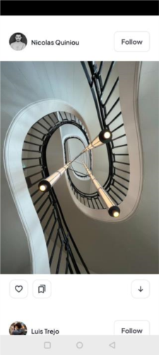 《pexels》平台图片获取指南