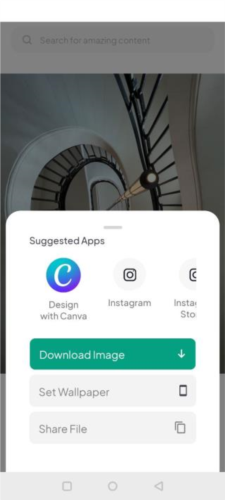 《pexels》平台图片获取指南