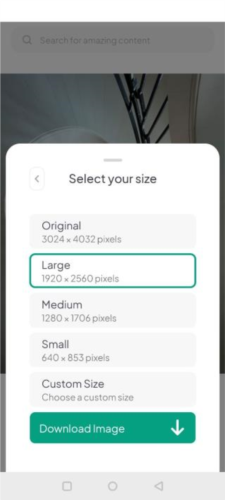 《pexels》平台图片获取指南